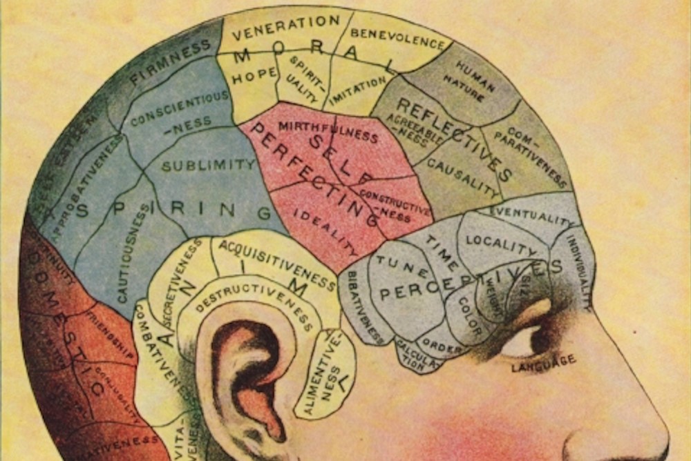Human brain with countries painted on head
