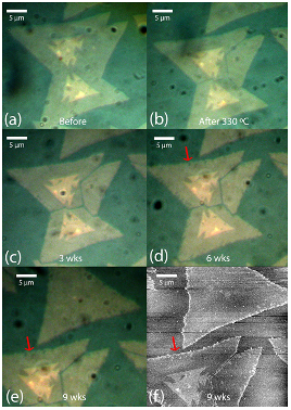 MoS2 after weeks on Si3N4 substrate