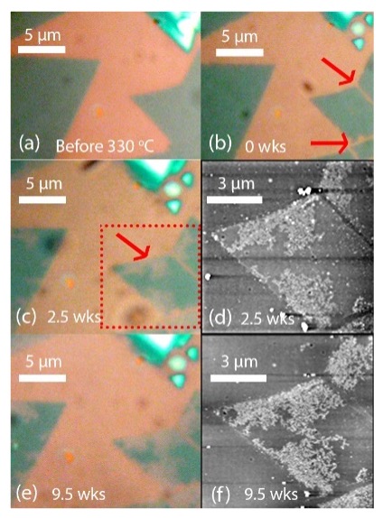 MoS2 after weeks on SiO2 substrate